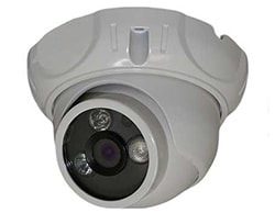 Business Video Surveillance Systems