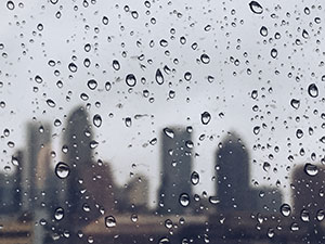 Our security camera systems withstand Tampa weather.